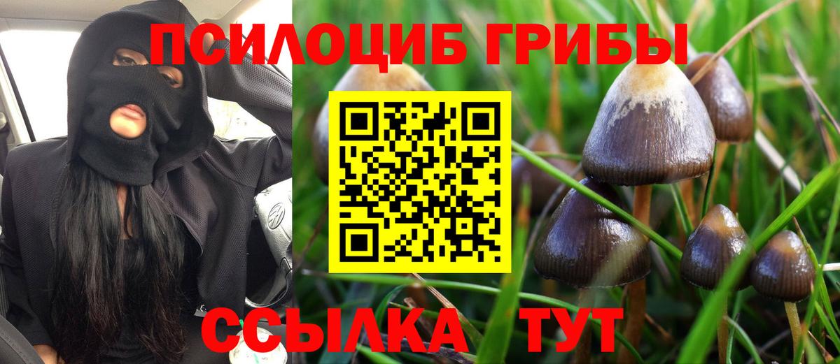 Псилоцибиновые грибы мухоморы Кириши